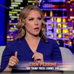 Erin Perrine